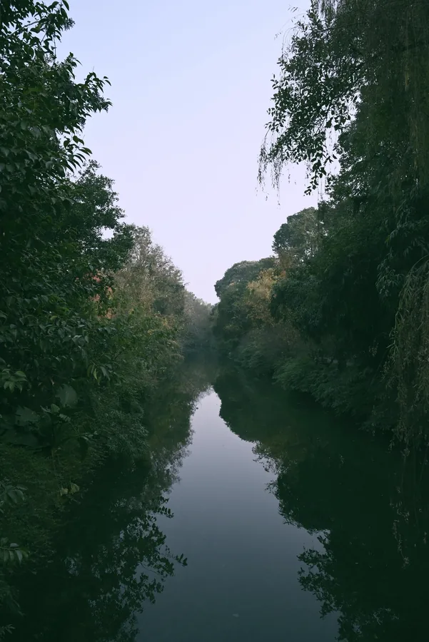 林间水道，Nikon Z5 摄影