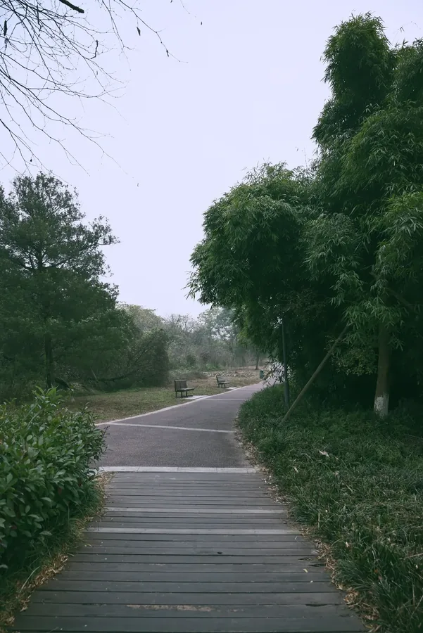 成都 · 城市光影 01，成都影像