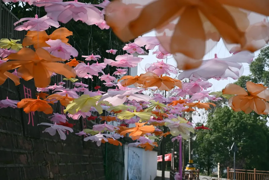 成都 · 花木小景 05，成都影像