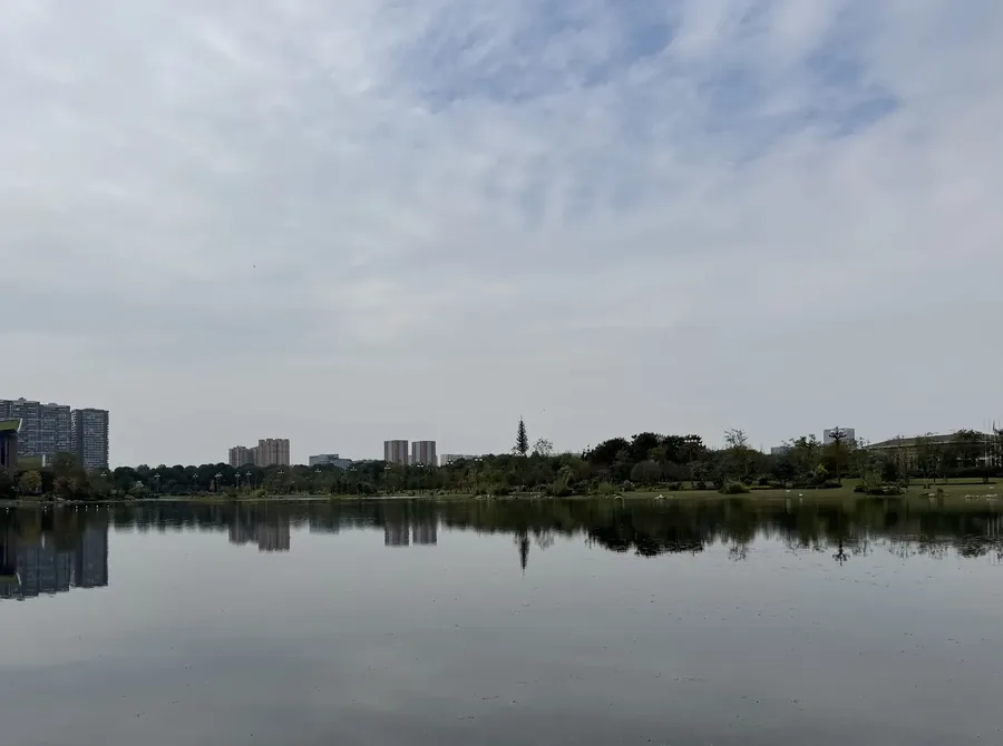 成都 · 城市绿意 03，成都影像