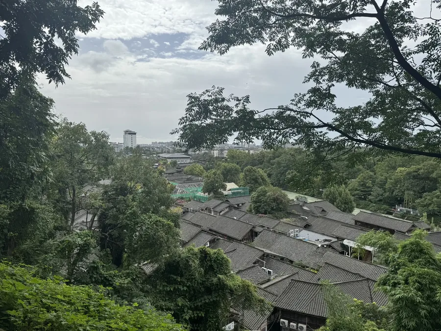 成都 · 城市绿意 09，成都影像