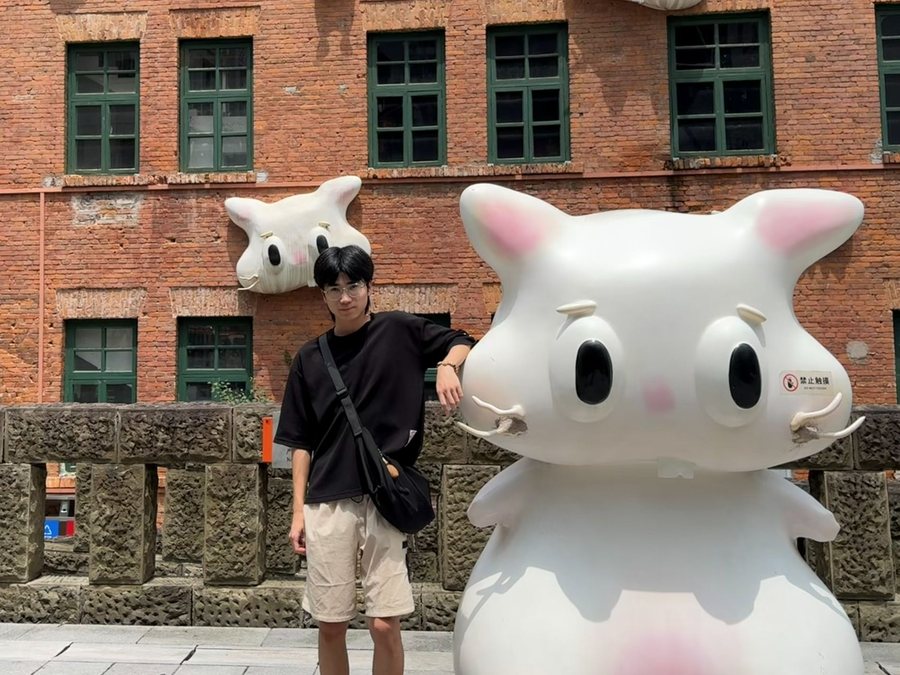 重庆 · 巷口白猫，重庆影像