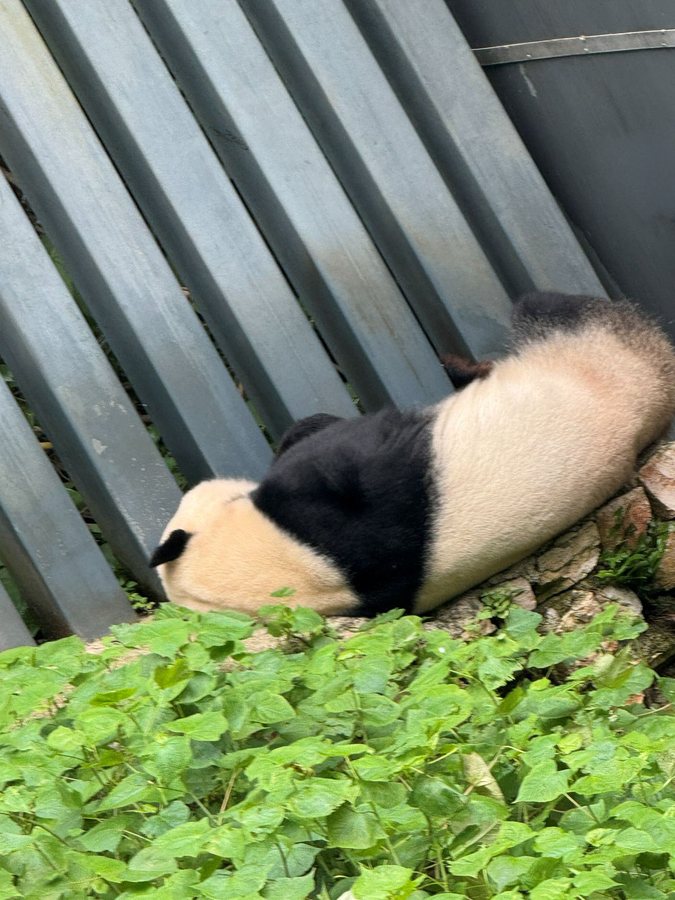 贵州 · 林间午睡，贵州影像