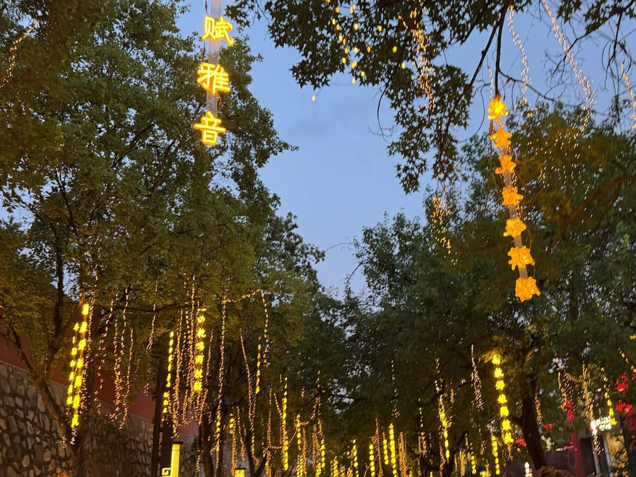 西安 · 灯火入林，西安影像