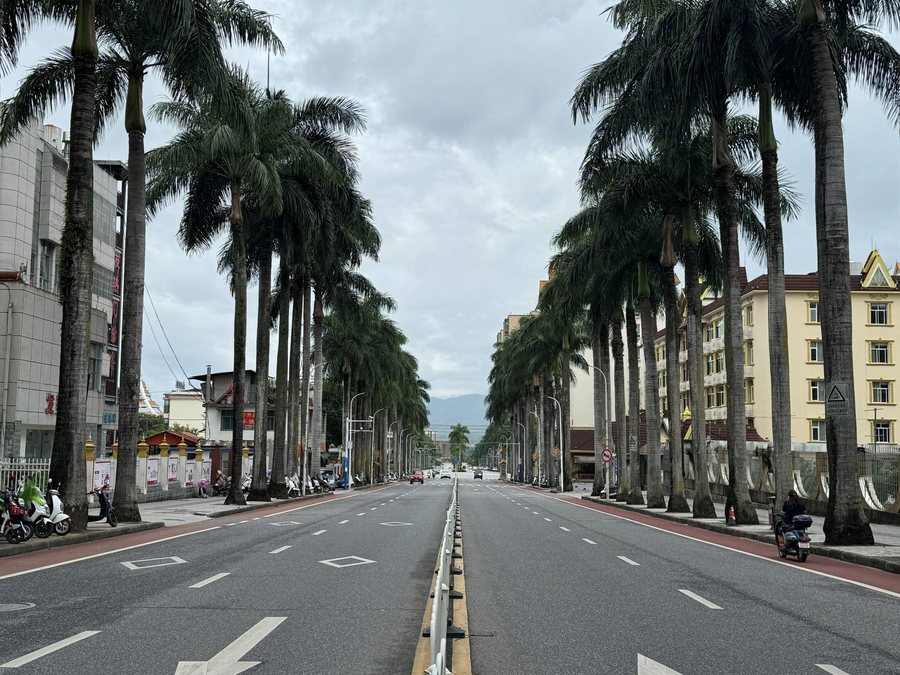 云南 · 棕榈大道，云南影像
