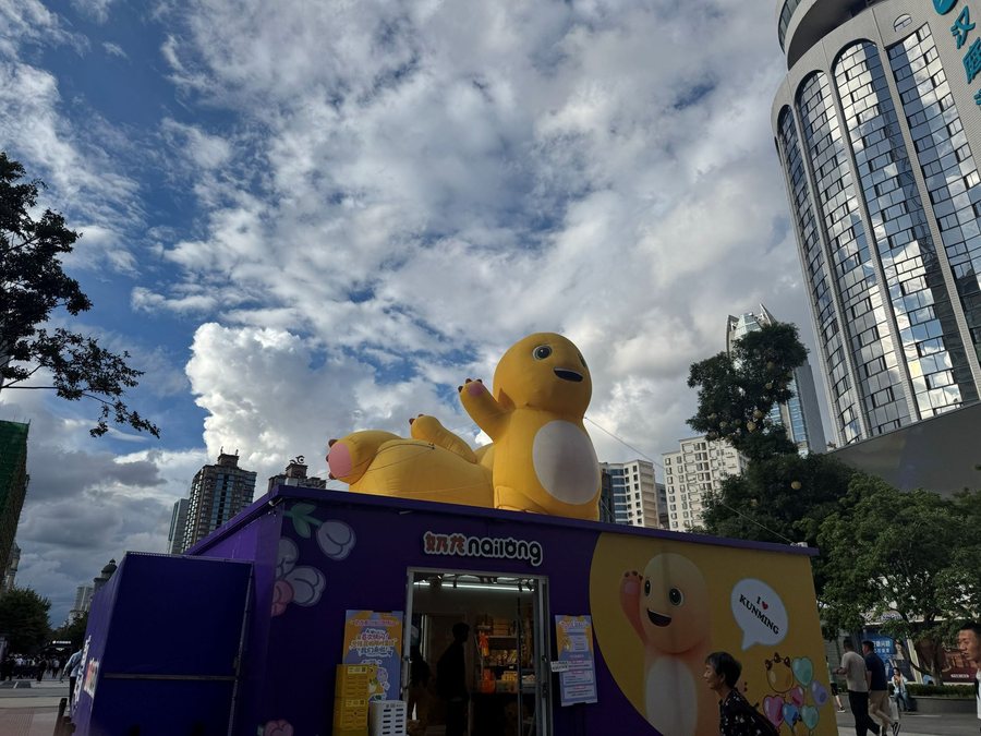云南 · 城市小黄鸭，云南影像